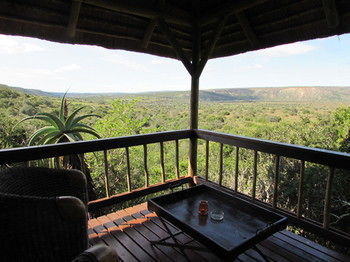 Woodbury Lodge Amakhala viltreservat Exteriör bild