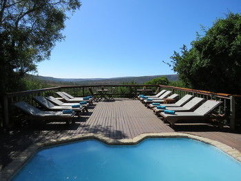 Woodbury Lodge Amakhala viltreservat Exteriör bild