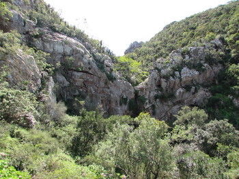 Woodbury Lodge Amakhala viltreservat Exteriör bild